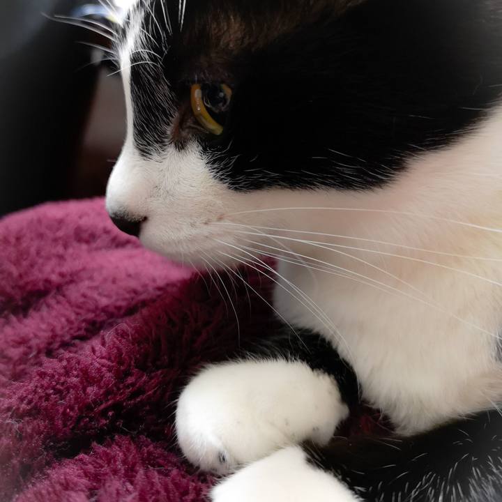 27de2e87 1b08 46c3 a064 d26d822ffdf1 1544273719034