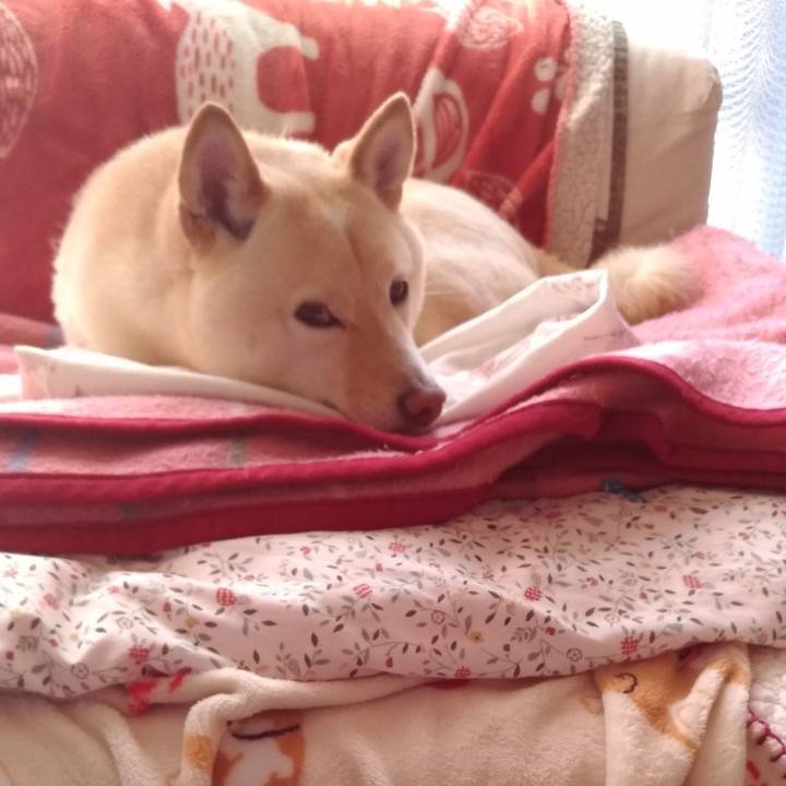 27de2f9c 2efd 435e aabf 35706968d113 1613862547390