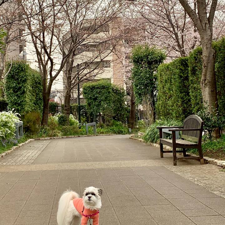 27de67b9 7a40 4462 8005 50bbe07bd039 1553568597159