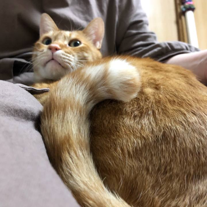 27de79e8 4965 4b99 a2e7 51731d22d438 1608289279316