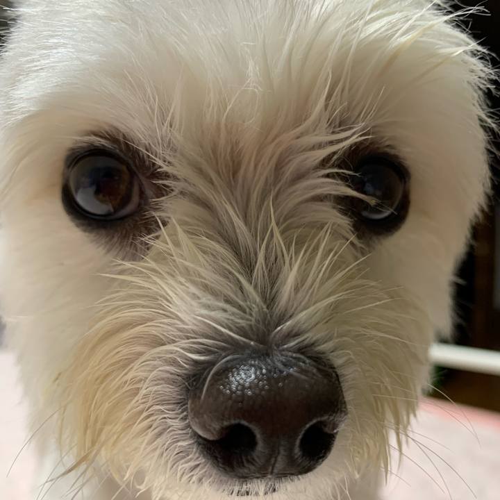 27de8145 6cb3 4979 8cce 37e45697b151 1631365196945