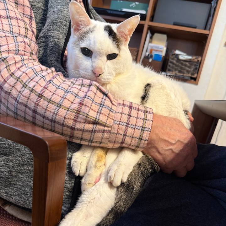 27de8946 c2cf 477b 9b37 f6ce62f5da0a 1768454939600