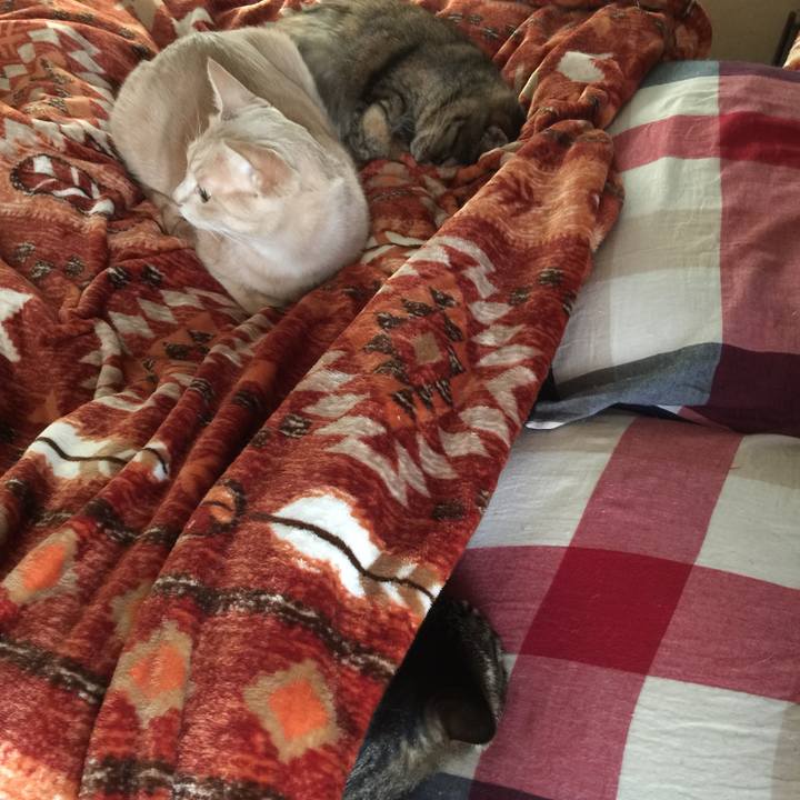 27df22b7 7238 44f0 8889 bf2f440fb98a 1520896752248