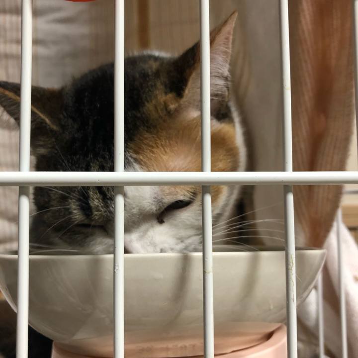 27dfb21b adad 48f9 9c66 fdbc0a023153 1588691526024