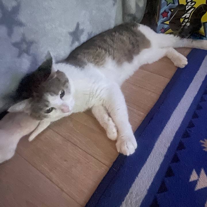 27dfc4d5 391a 4c10 9a87 64c03e526a15 1629924844604