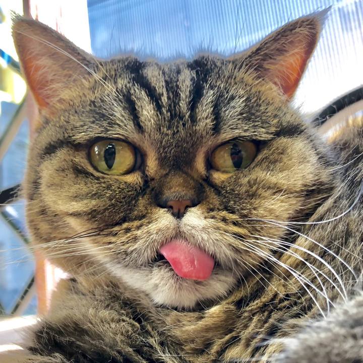 27dfc50c 3348 44d2 8c0e bf5fd59dd254 1544239428733