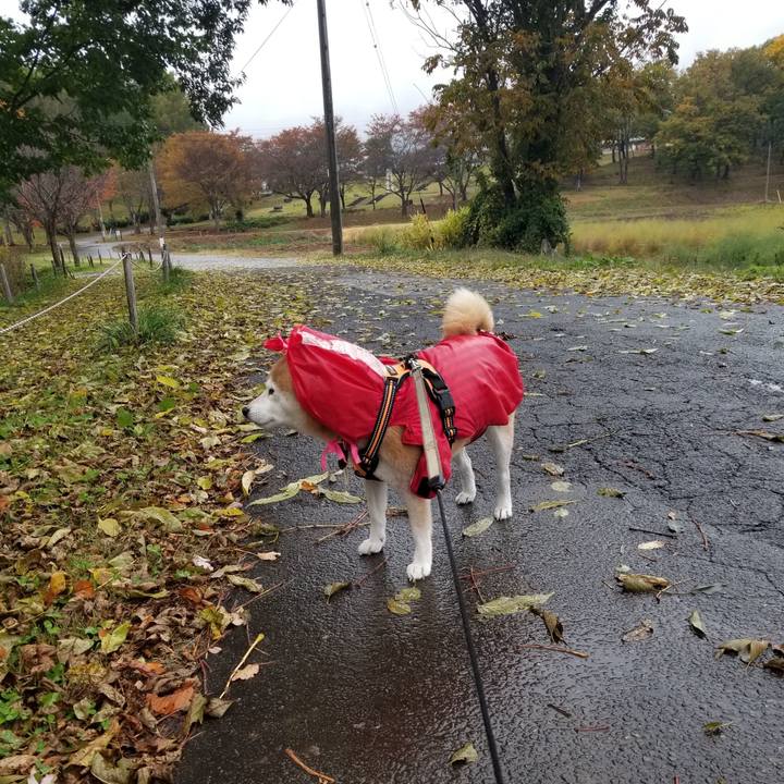 27dfc915 cf95 4546 84dd fe86cdbd8680 1667281409620