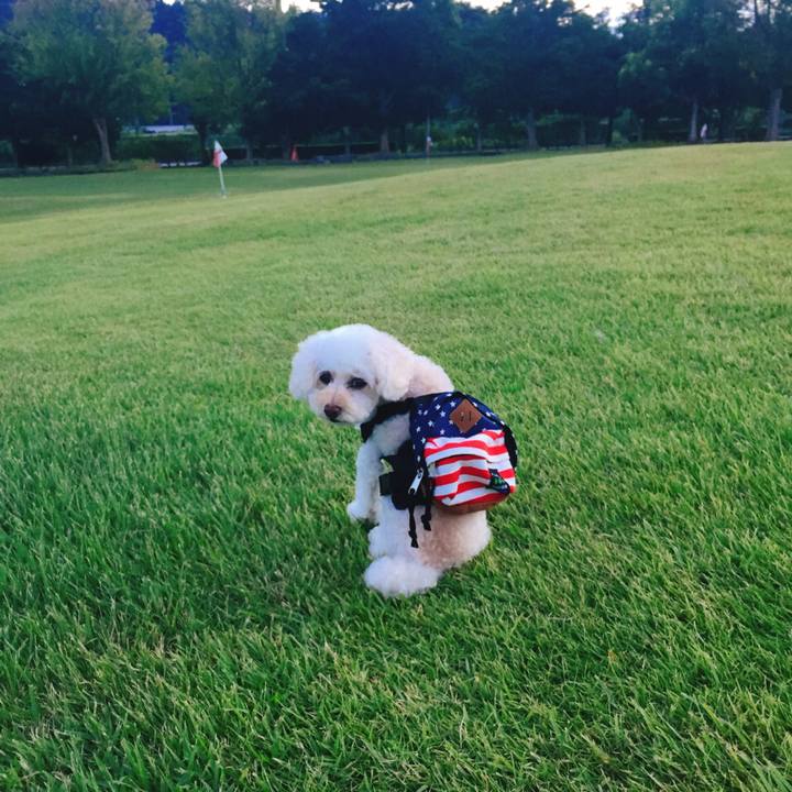 27e05e39 de10 4c95 a0cf 2c60abf58258 1535255712372