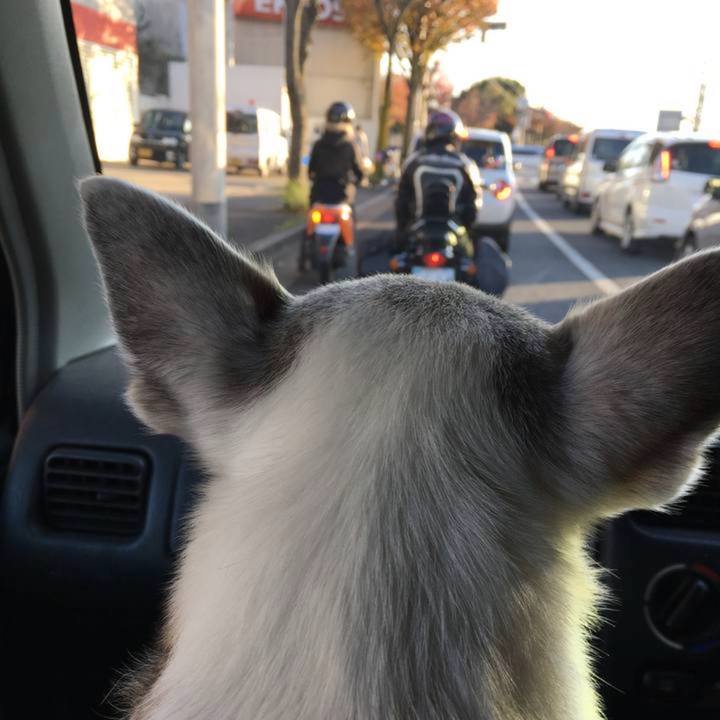 27e0781b a649 4d7e b08f afc3fecaae01 1764378076416