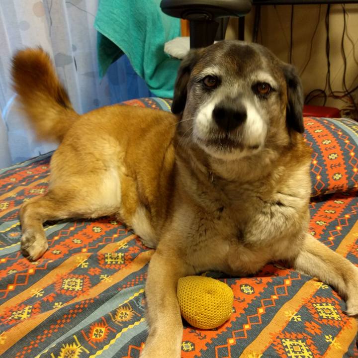 27e0ad5c a5f3 4010 ae61 e2fb594efa4e 1725496385777