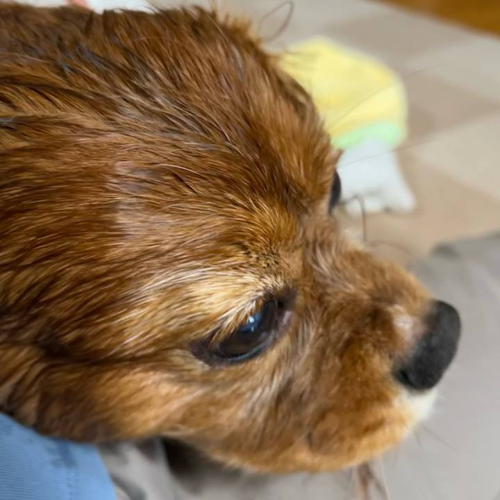 27e0daf1 659b 413c bda6 2dfa824be952 1693004456227