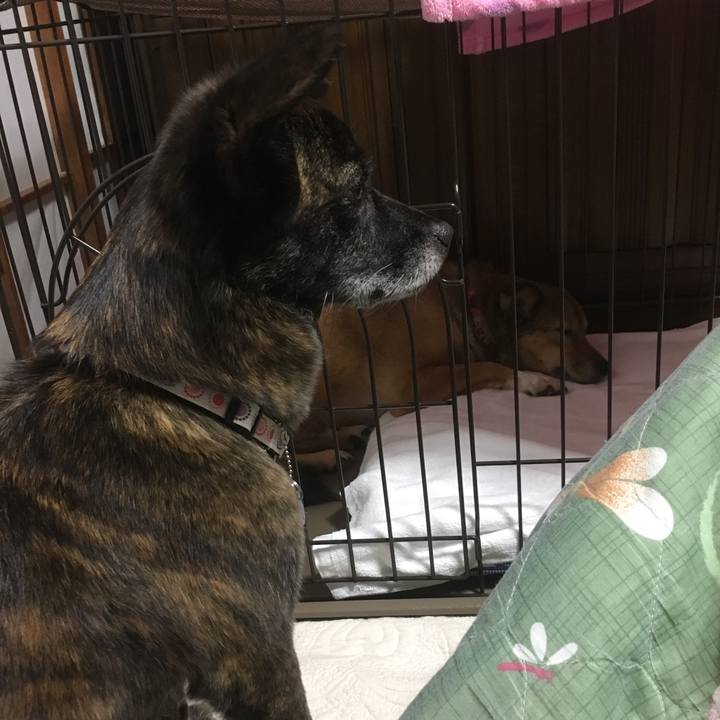 27e10a2f d3f0 43c3 acca 9eacde4654b1 1553774937345