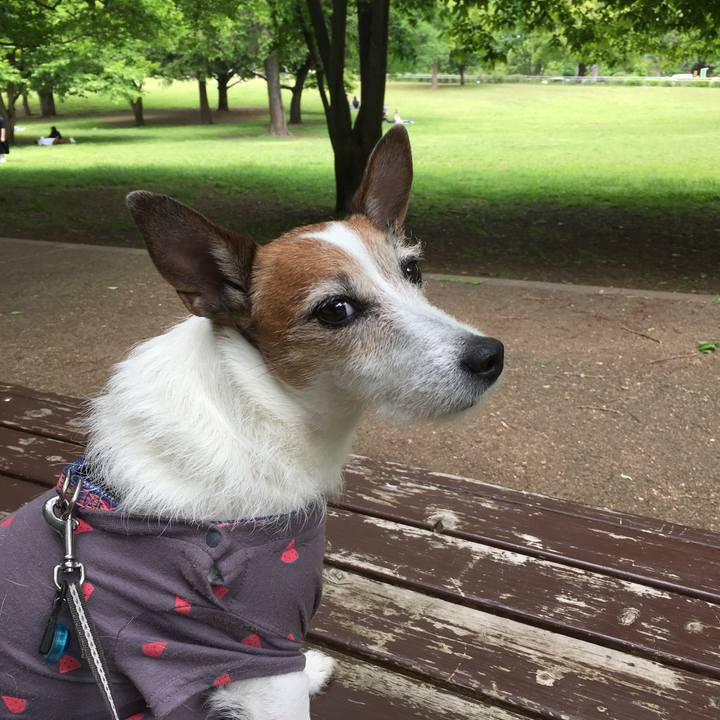 27e16748 ea74 4cf0 810d 10ca3e967d4b 1652138295050