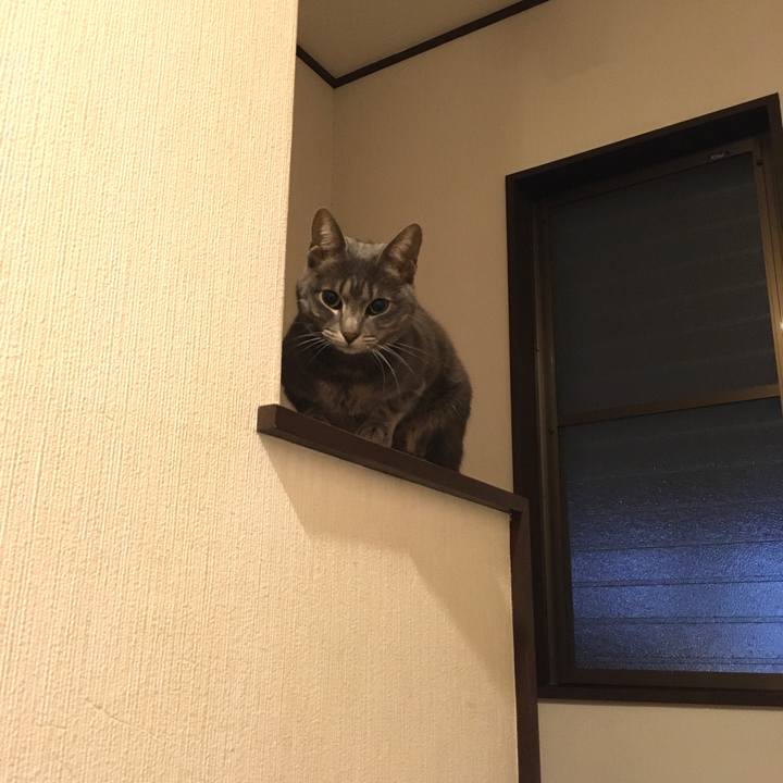 27e181f4 dc6b 4412 8b64 89437329bfdb 1574439733634