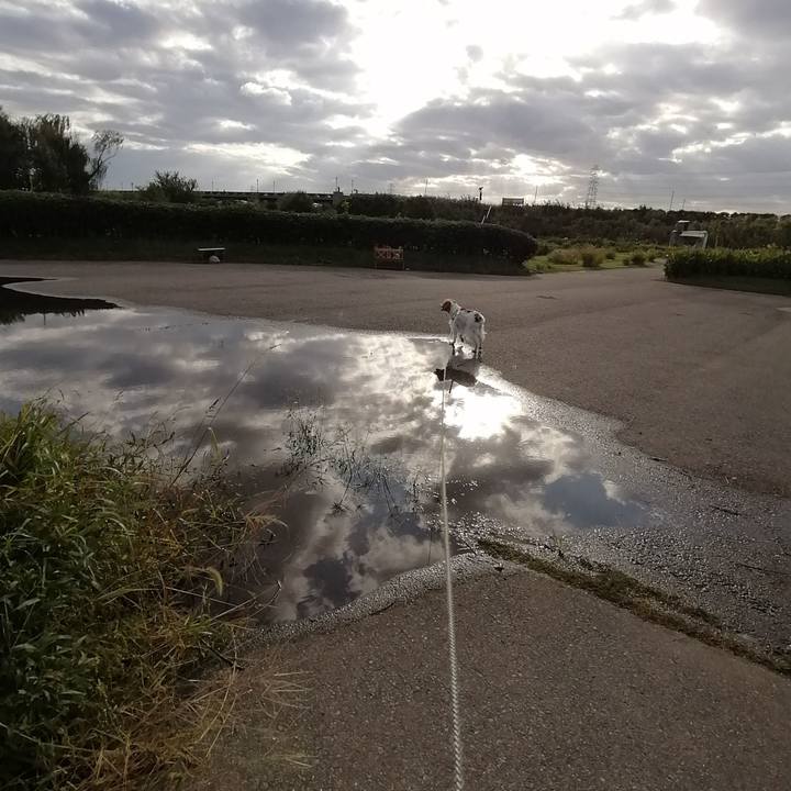 27e1a4fc ce0f 4bbd 9322 d69e43eea314 1571820270587