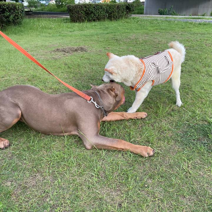 27e1aa56 015c 4797 bce9 6e013bba3e28 1656505756506