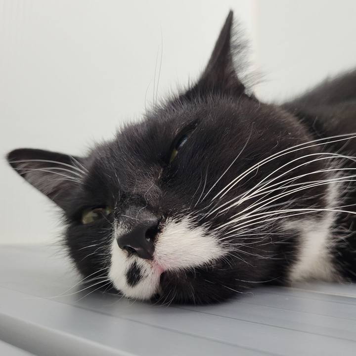 27e1e55f a584 46c0 99de a555d0f682f8 1651224182127