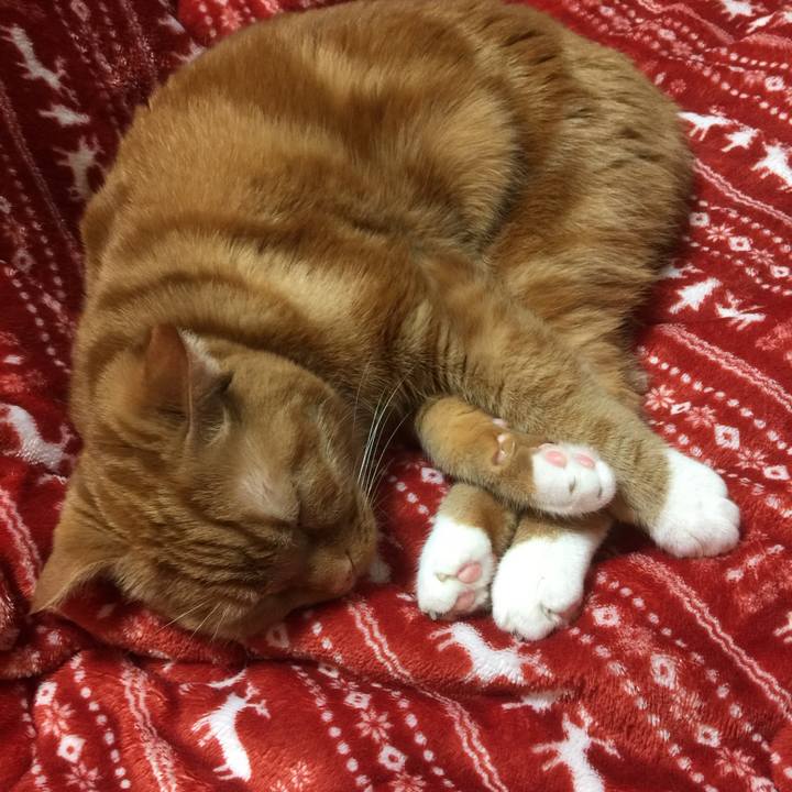 27e1e854 46c7 4903 a1a2 543674a220e3 1584784383623