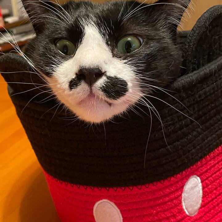 27e1fb9e e0e7 433a b2f1 ac3ec568d212 1739785993146