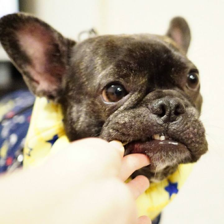 27e2299b f58a 4ab4 b6f3 f210c3164956 1531311139400