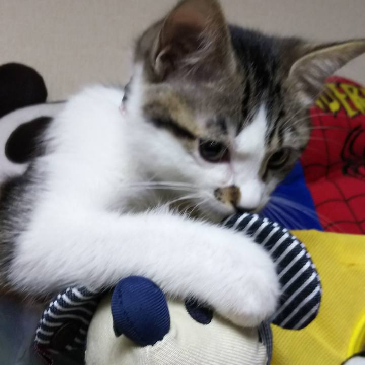 27e24616 9b9e 4e52 a261 c947e65f3fe9 1609593005798