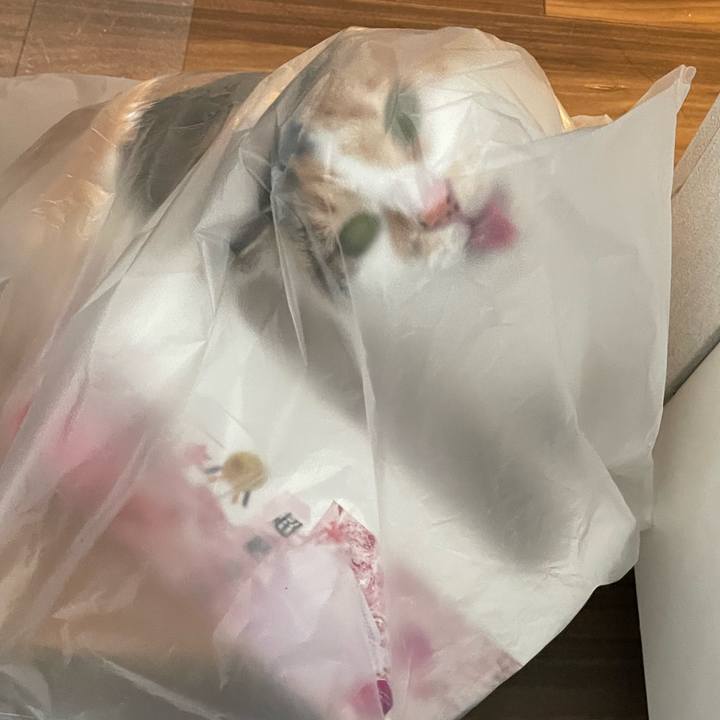 27e24be0 a470 4a01 9635 362a6cbe5267 1711245852348