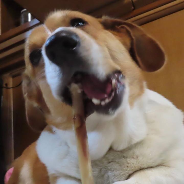 27e257e2 7c01 4bfb 87d5 4fcc25d0b79f 1653188967631