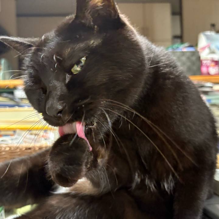 27e26131 909e 40dd 8e3b cf716f6a36d0 1762078782221