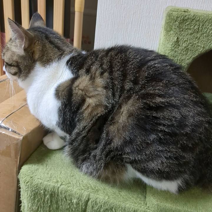 27e26337 3579 4d0a a344 89b284565daf 1684237995624