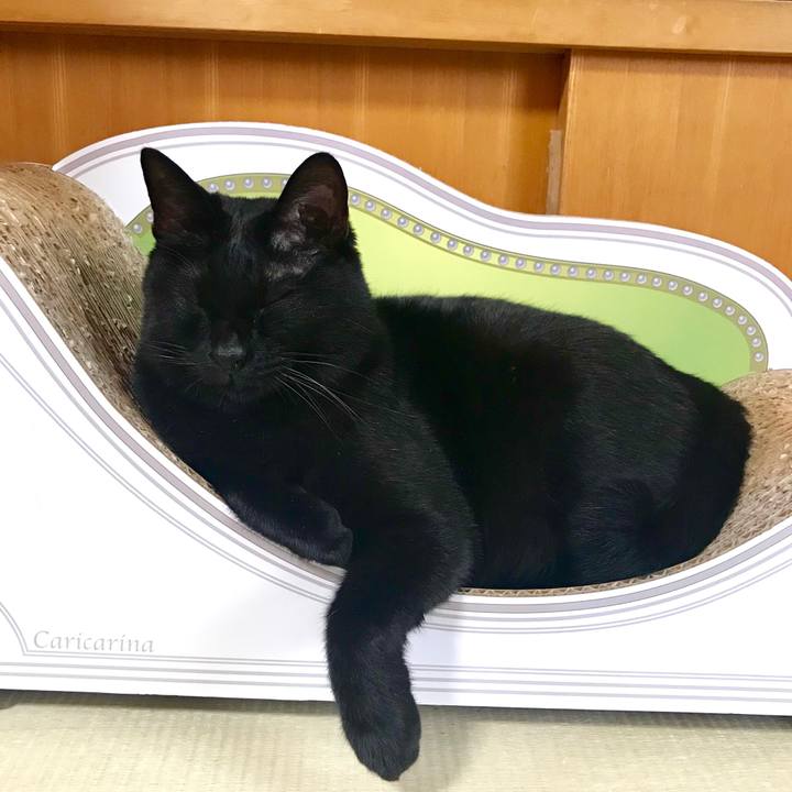 27e27d6e 8296 4362 a2f9 d83cdc7ae49e 1533556775854