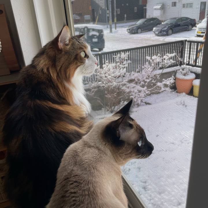 27e2950e 1b6c 4981 b010 2ca4e86e8039 1732925819152