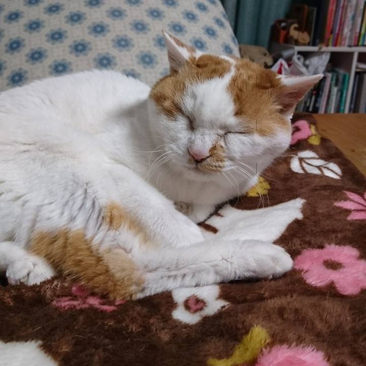 27e2c073 db6c 43dc b86d 072b77bd98b3 1525078937556