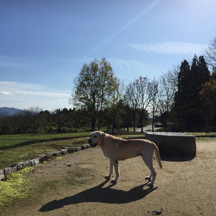 27e2d894 34df 4556 96b0 69682919816e 1542513639252