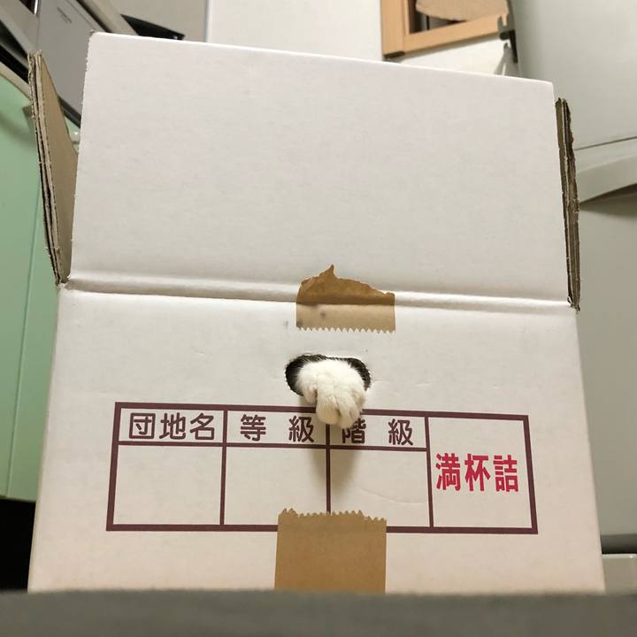 27e2fdaf a4f1 4475 bdc8 244636d4ad48 1521179294103