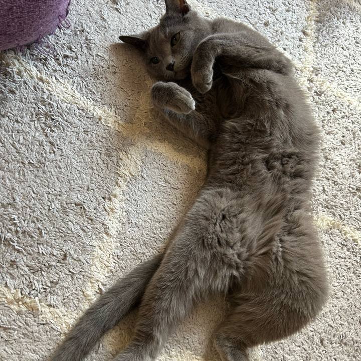 27e308c0 33d2 4b47 82f8 8f9a8d320bf5 1723013716200