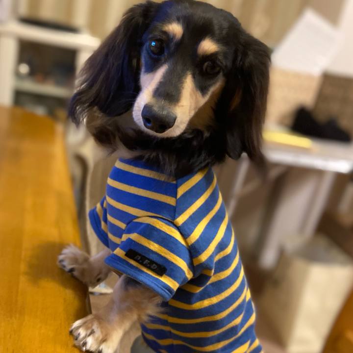 27e313ba 4e3d 4759 b379 324d0f231323 1707269287395