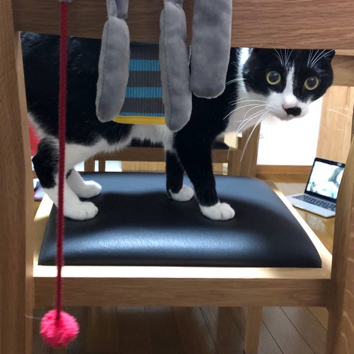 27e35391 a15e 4816 aca8 aea3c8715935 1543201298051