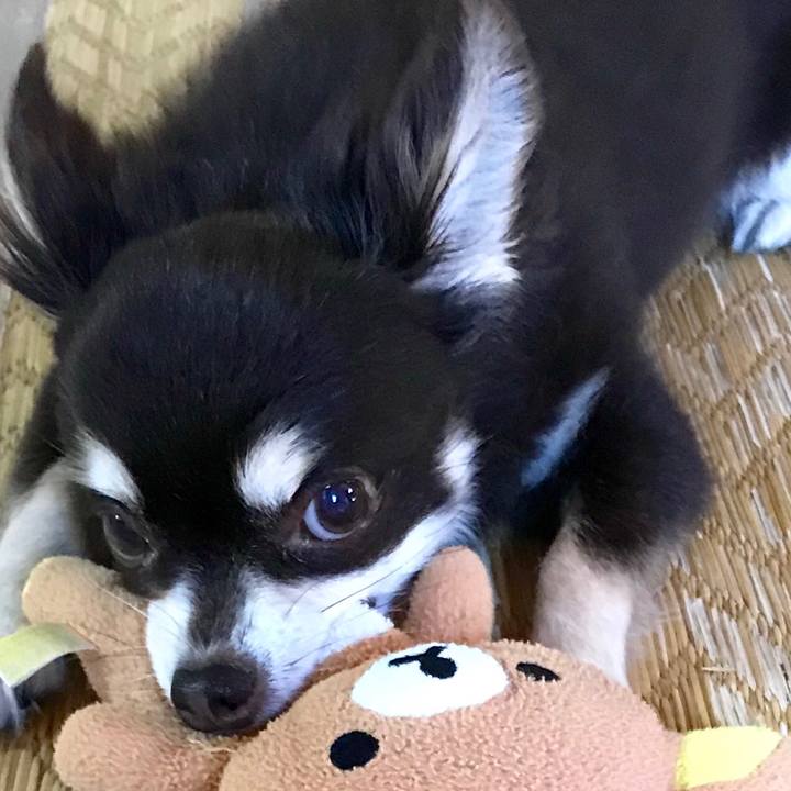 27e39391 915c 41c0 aa1b 48b701b30db8 1564794975271