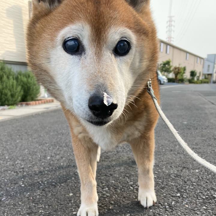 27e3c754 f431 4a39 b98f 022f5a589e4e 1744272277577