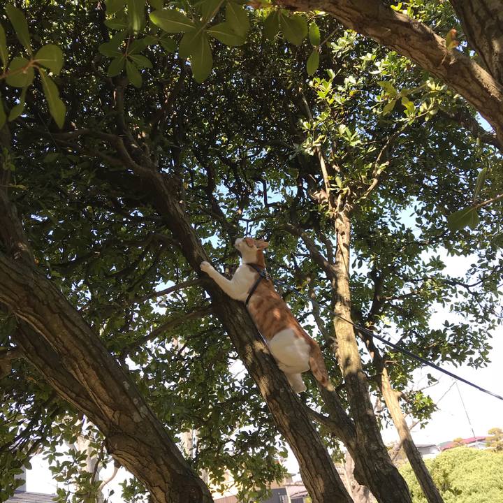 27e3dace c480 43ad 9ffa ea45f1c64362 1522459506989