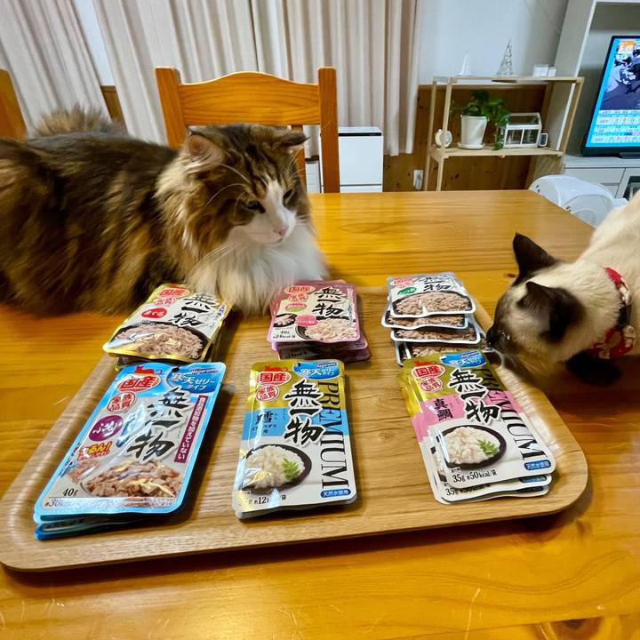 27e3edc7 676b 4c5a 9567 27c88090e144 1703019418736