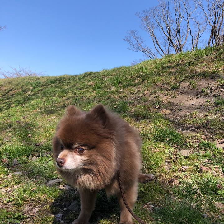 27e40eaa 9c9f 416a a6bf e853bbe8365d 1618202531543