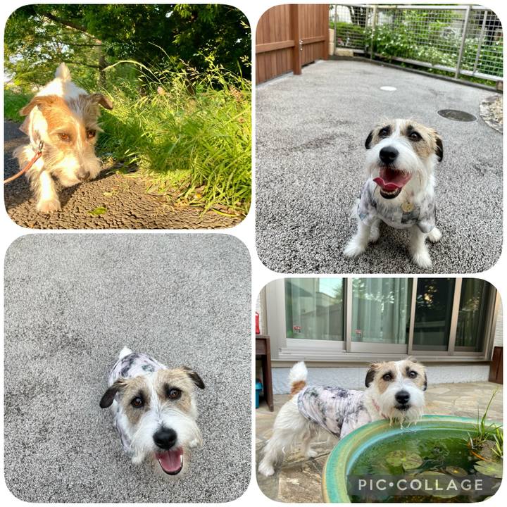 27e42bbc 4ea1 4fde 96b9 bd301d54c23e 1653821179254