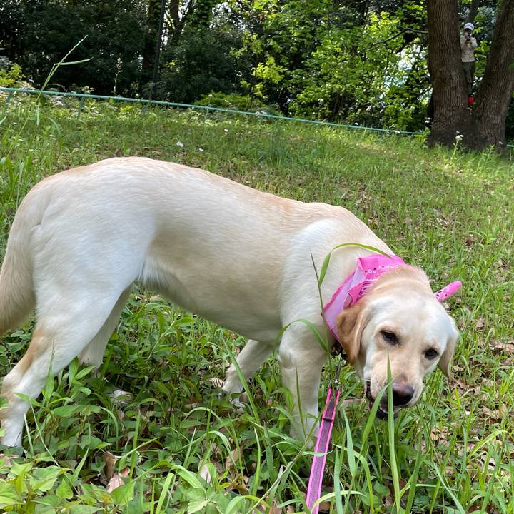 27e44db7 d89e 4328 91c4 0d7bcb86a625 1651754844389