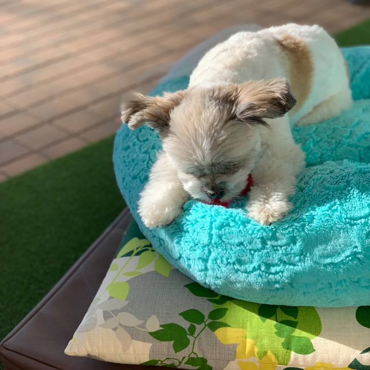 27e48716 b59a 4eef 96f7 d7ad40f3888f 1548118438916