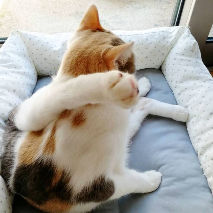 27e4a35a 916a 4320 bc9e 91dd83d6b551 1568620761078