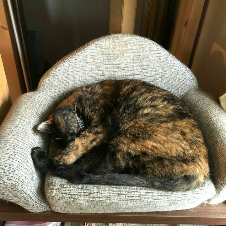 27e4ecd2 7e70 4c2e 8650 7ac9d3f0a903 1600225071949