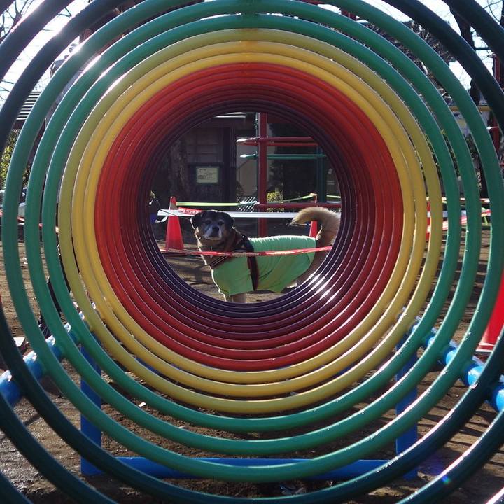 27e54d73 0723 4431 819a 10db95ef7176 1595810472108