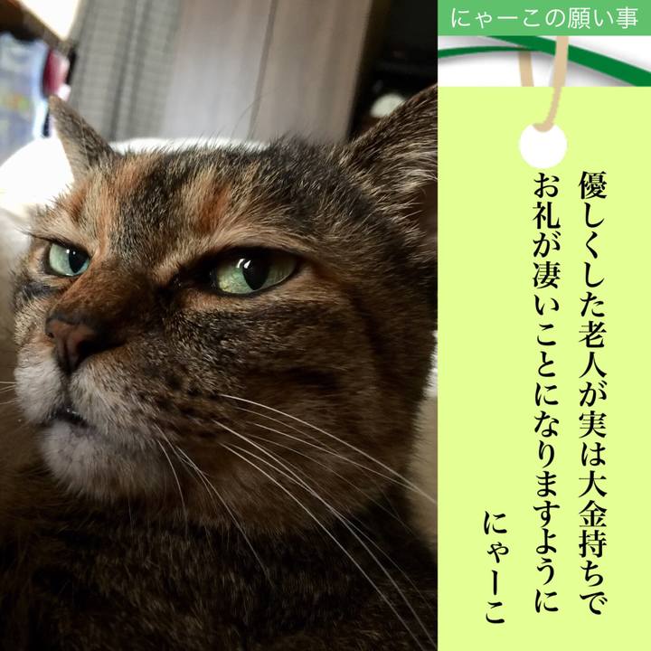 27e56940 ee26 455b 8b11 8bbbf3e53c5b 1594083952625