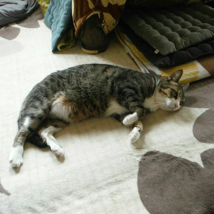 27e5a0ad d557 4bca ab06 6c8e11296ea4 1527133642264